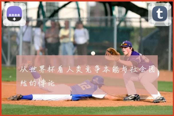 从世界杯看人类竞争本能与社会团结的悖论