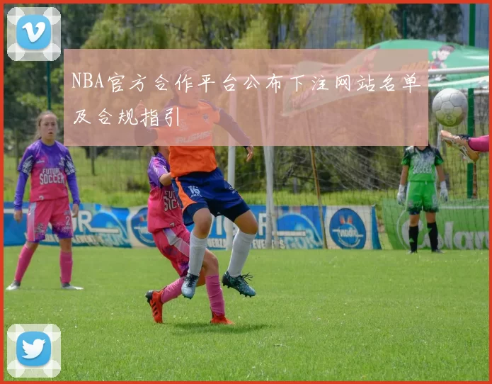 NBA官方合作平台公布下注网站名单及合规指引
