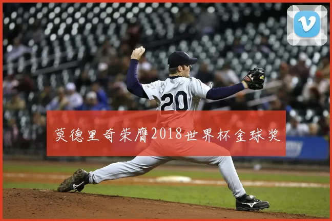 莫德里奇荣膺2018世界杯金球奖