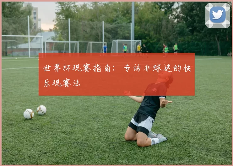 世界杯观赛指南:专访非球迷的快乐观赛法