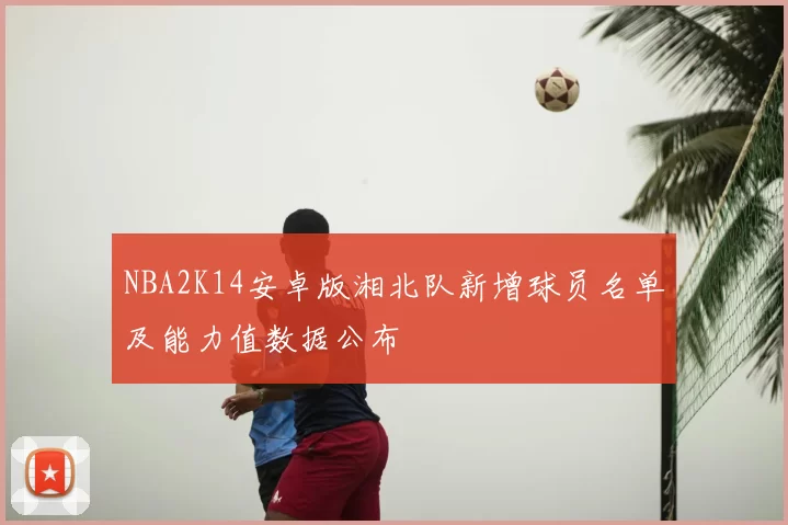 NBA2K14安卓版湘北队新增球员名单及能力值数据公布