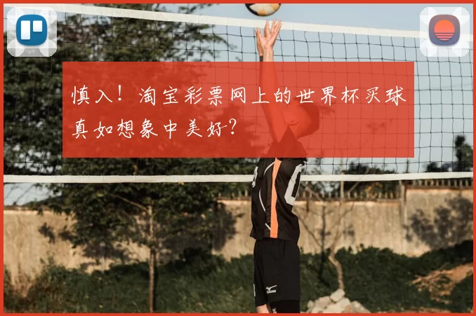 慎入!淘宝彩票网上的世界杯买球真如想象中美好?