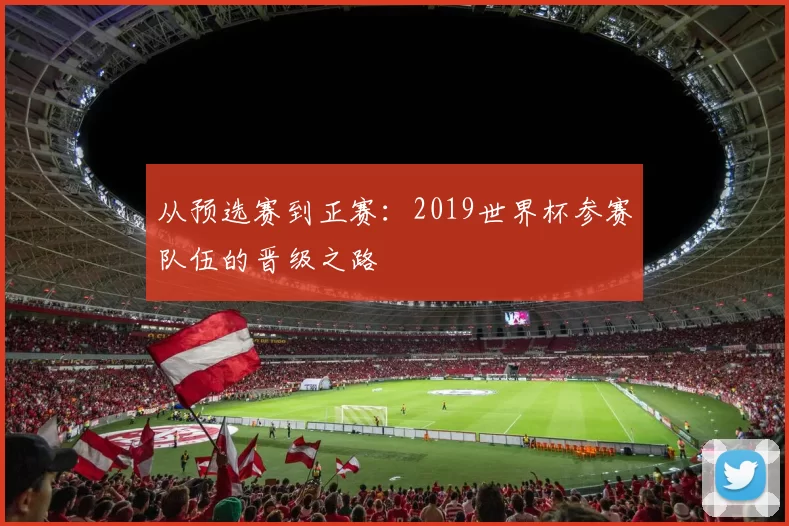 从预选赛到正赛：2019世界杯参赛队伍的晋级之路
