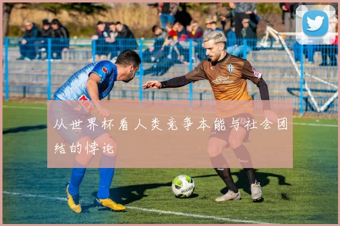 从世界杯看人类竞争本能与社会团结的悖论