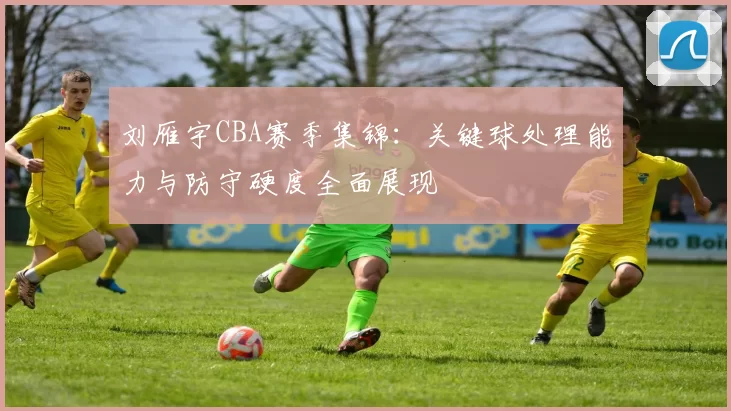 刘雁宇CBA赛季集锦：关键球处理能力与防守硬度全面展现