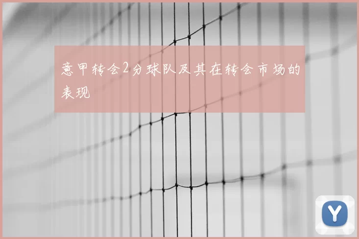 意甲转会2分球队及其在转会市场的表现