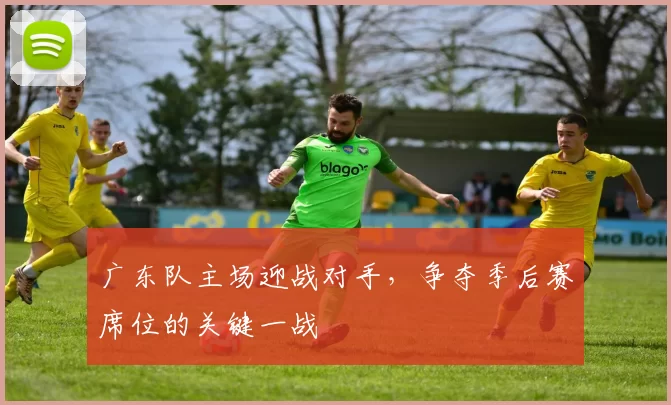 广东队主场迎战对手，争夺季后赛席位的关键一战