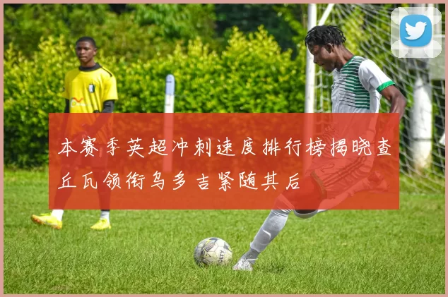 本赛季英超冲刺速度排行榜揭晓查丘瓦领衔乌多吉紧随其后
