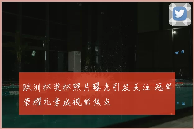欧洲杯奖杯照片曝光引发关注 冠军荣耀元素成视觉焦点