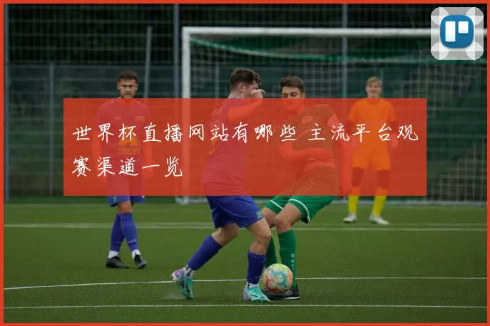 世界杯直播网站有哪些 主流平台观赛渠道一览