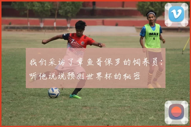 我们采访了章鱼哥保罗的饲养员:听他说说预测世界杯的秘密